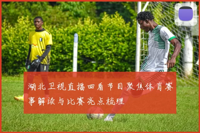湖北卫视直播回看节目聚焦体育赛事解读与比赛亮点梳理