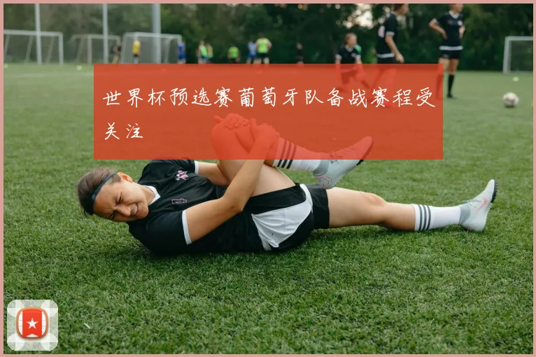 世界杯预选赛葡萄牙队备战赛程受关注
